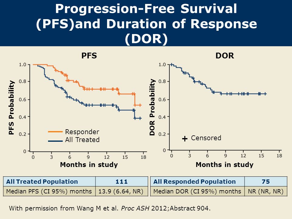 Progression-Free Survival (PFS)and Duration of Response (DOR) With permission from Wang M et al.