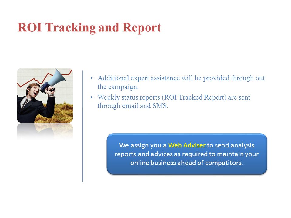ROI Tracking and Report Additional expert assistance will be provided through out the campaign.
