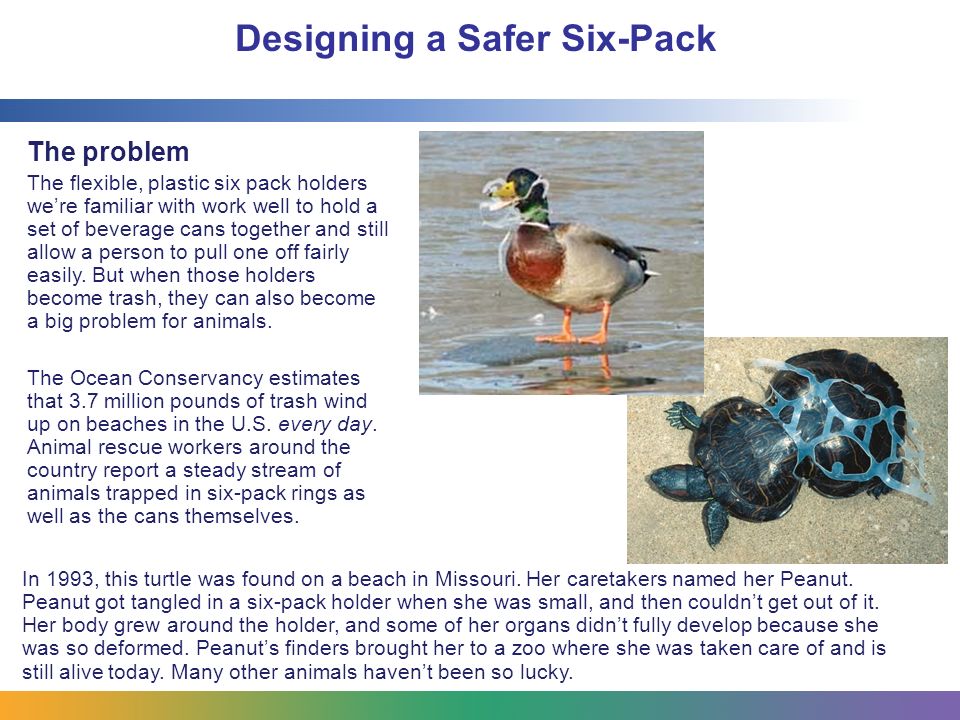 Mar Jr. Chapter STEM Activity Designing a Safer Six-Pack Photo: Save Our  Seabirds. - ppt download