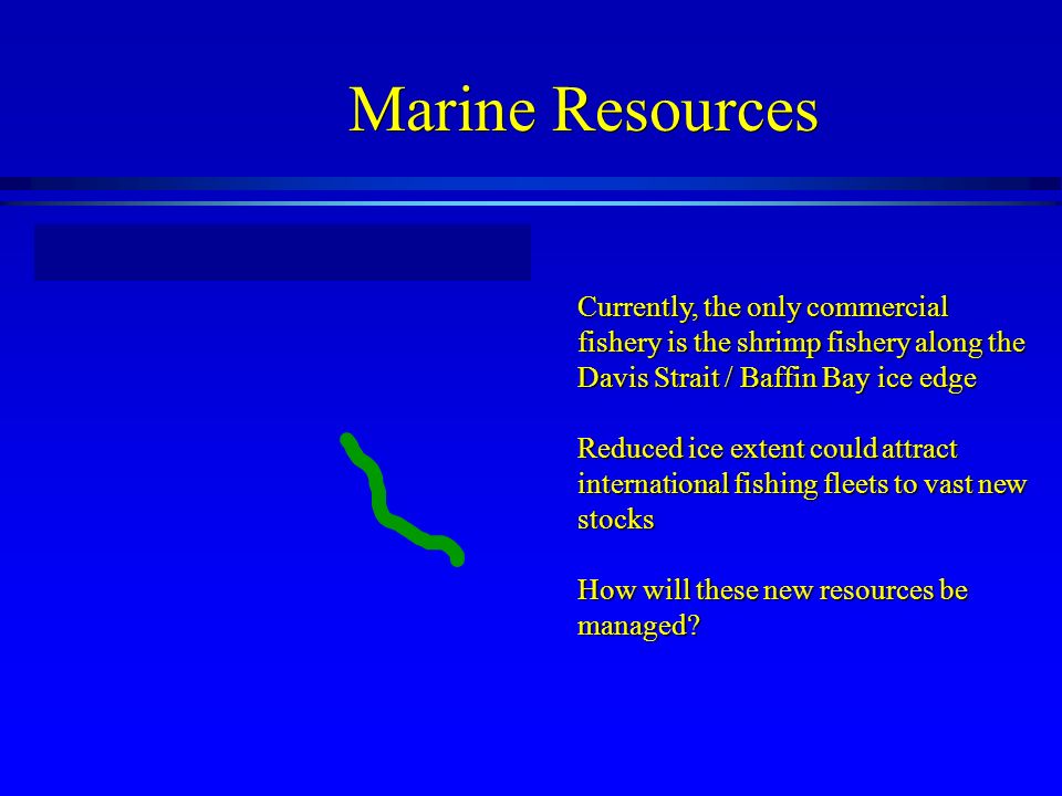 Marine Resources Currently, the only commercial fishery is the shrimp fishery along the Davis Strait / Baffin Bay ice edge Reduced ice extent could attract international fishing fleets to vast new stocks How will these new resources be managed