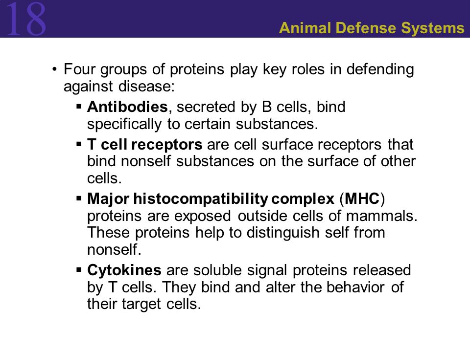 18 Animal Defense Systems Four groups of proteins play key roles in defending against disease:  Antibodies, secreted by B cells, bind specifically to certain substances.