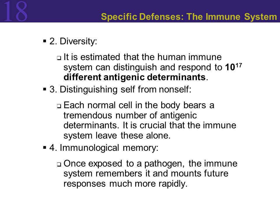 18 Specific Defenses: The Immune System  2.