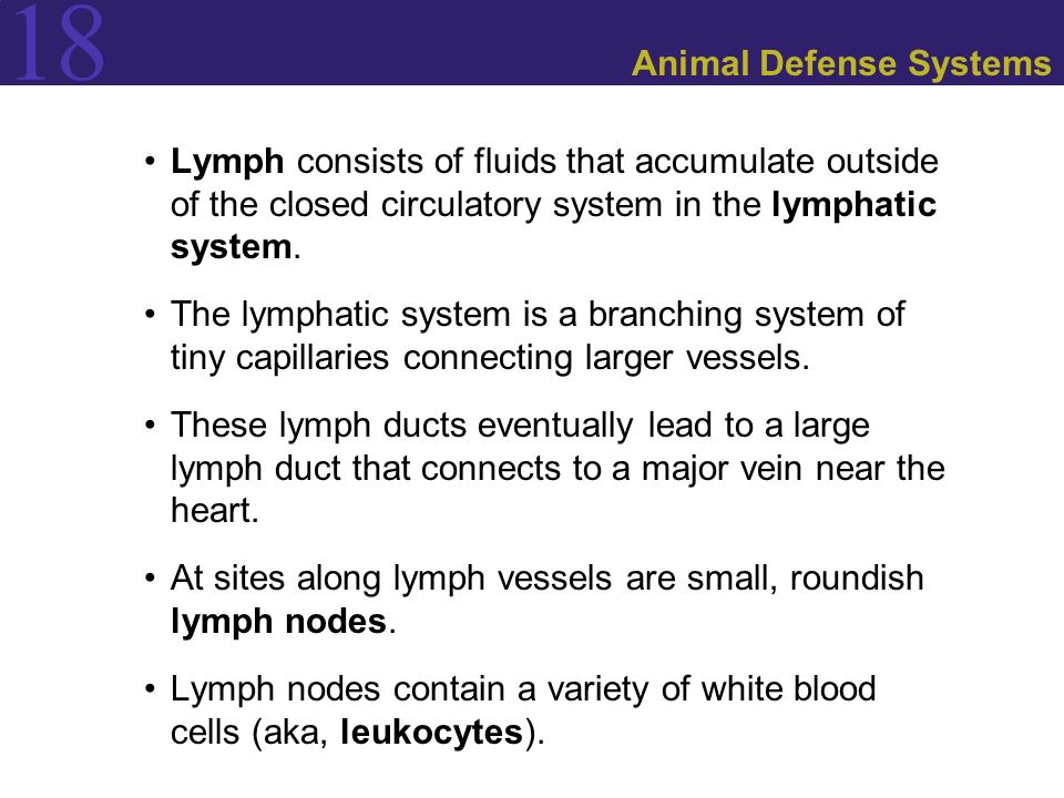 18 Animal Defense Systems Lymph consists of fluids that accumulate outside of the closed circulatory system in the lymphatic system.