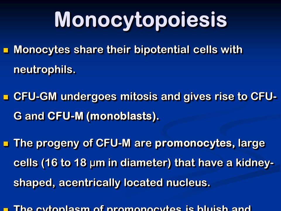 MonocytopoiesisMonocytopoiesis Monocytes share their bipotential cells with neutrophils.