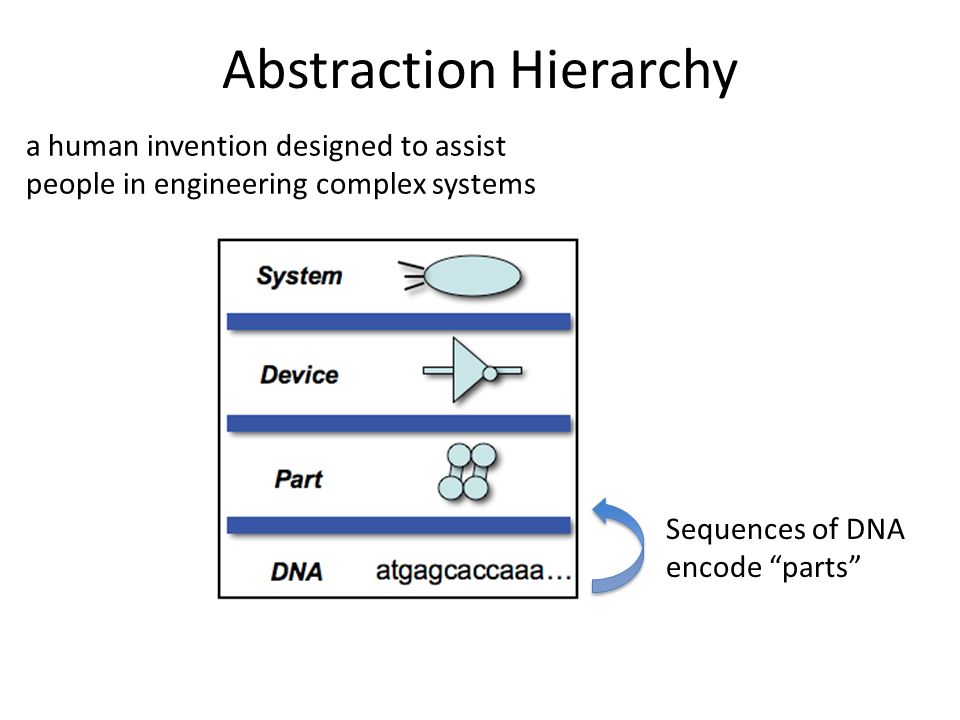 Abstraction Hierarchy a human invention designed to assist people in engineering complex systems Sequences of DNA encode parts