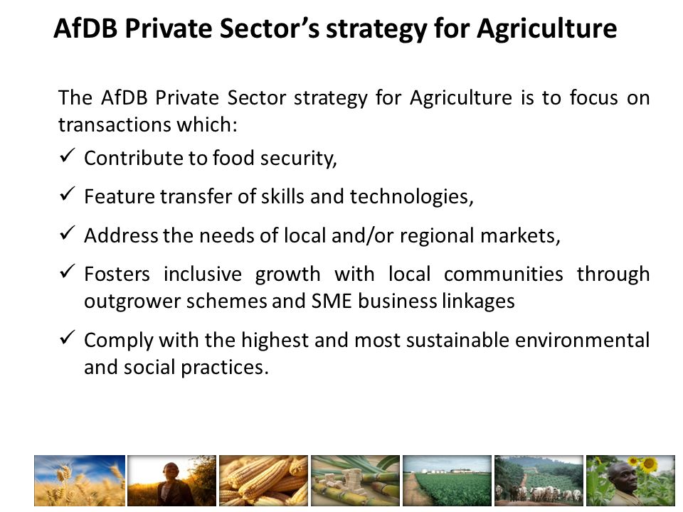 AfDB Private Sector’s strategy for Agriculture The AfDB Private Sector strategy for Agriculture is to focus on transactions which: Contribute to food security, Feature transfer of skills and technologies, Address the needs of local and/or regional markets, Fosters inclusive growth with local communities through outgrower schemes and SME business linkages Comply with the highest and most sustainable environmental and social practices.
