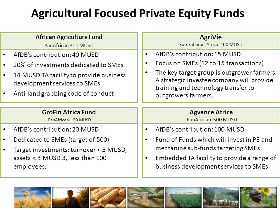 Agricultural Focused Private Equity Funds African Agriculture Fund PanAfrican 300 MUSD AfDB’s contribution: 40 MUSD 20% of investments dedicated to SMEs 14 MUSD TA facility to provide business development services to SMEs Anti-land grabbing code of conduct AgriVie Sub-Saharan Africa 100 MUSD AfDB’s contribution: 15 MUSD Focus on SMEs (12 to 15 transactions) The key target group is outgrower farmers.