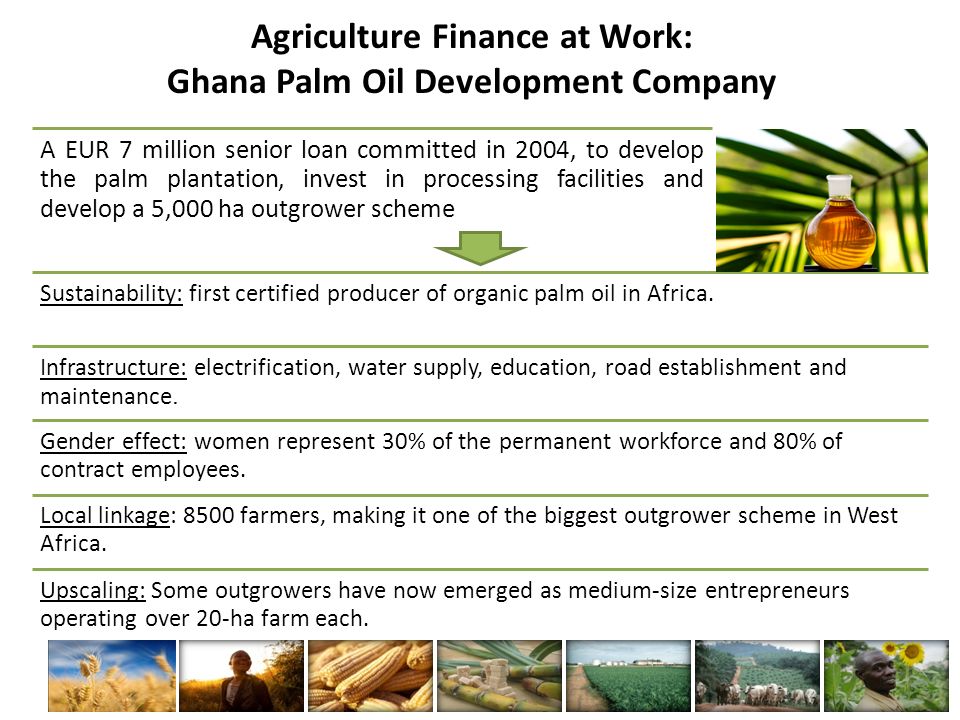 Agriculture Finance at Work: Ghana Palm Oil Development Company A EUR 7 million senior loan committed in 2004, to develop the palm plantation, invest in processing facilities and develop a 5,000 ha outgrower scheme Sustainability: first certified producer of organic palm oil in Africa.