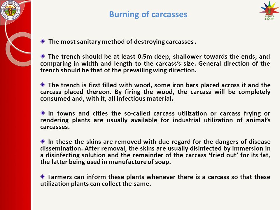 Carcass disposal Introduction Proper disposal of carcasses is of utmost  importance in preventing the spread of diseases, and as in case of anthrax,  to. - ppt download