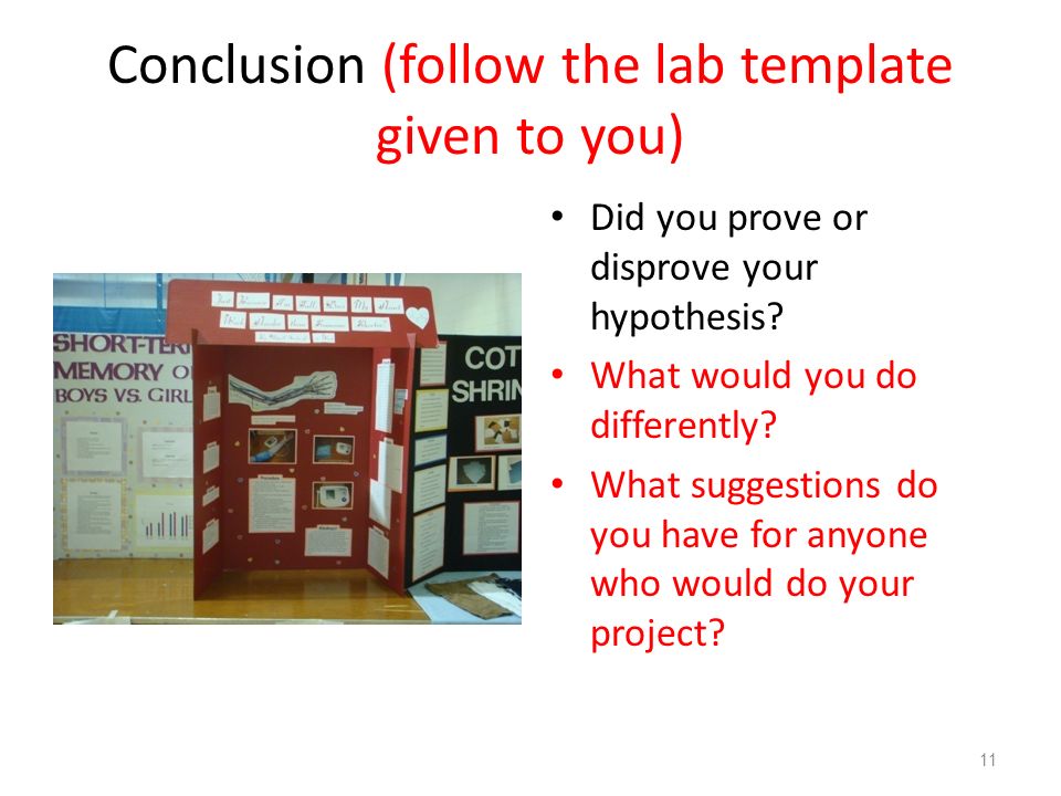 Conclusion (follow the lab template given to you) Did you prove or disprove your hypothesis.