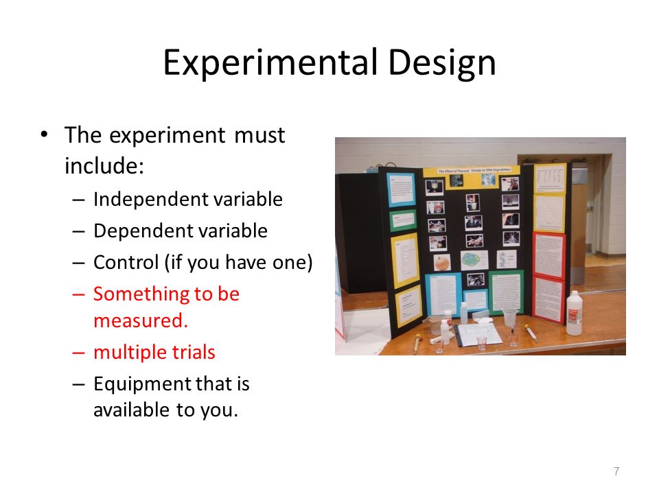 Experimental Design The experiment must include: – Independent variable – Dependent variable – Control (if you have one) – Something to be measured.