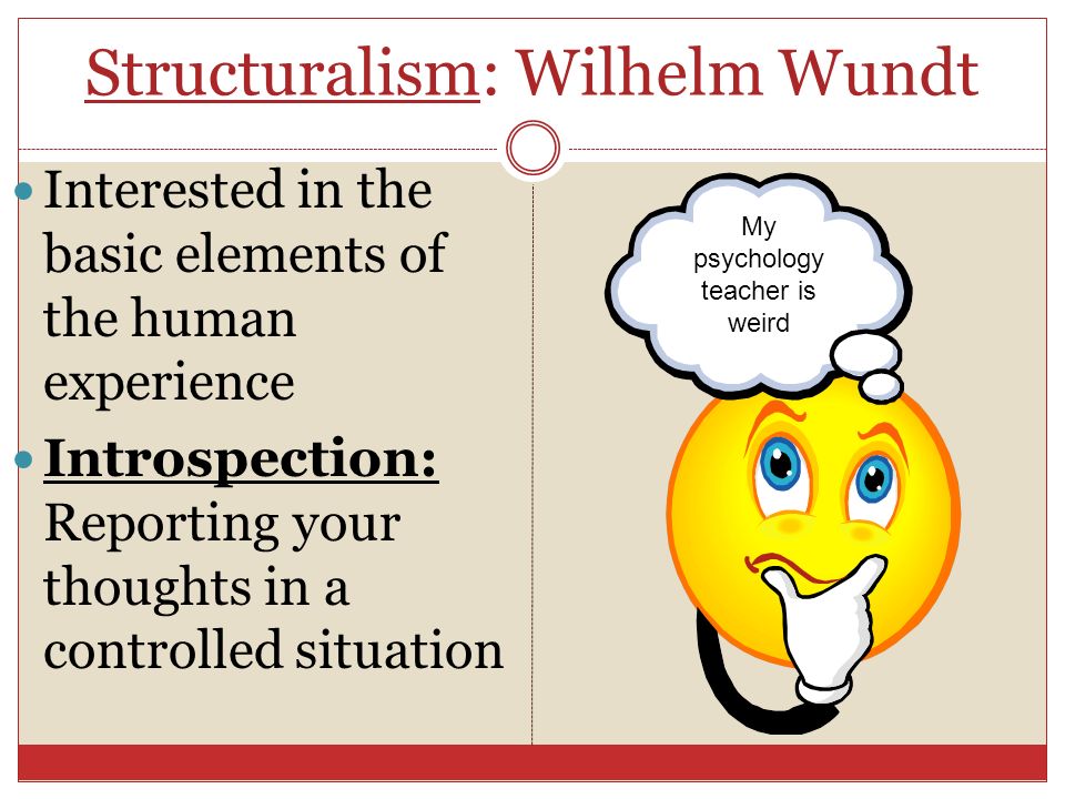 Structuralism: Wilhelm Wundt Interested in the basic elements of the human experience Introspection: Reporting your thoughts in a controlled situation My psychology teacher is weird