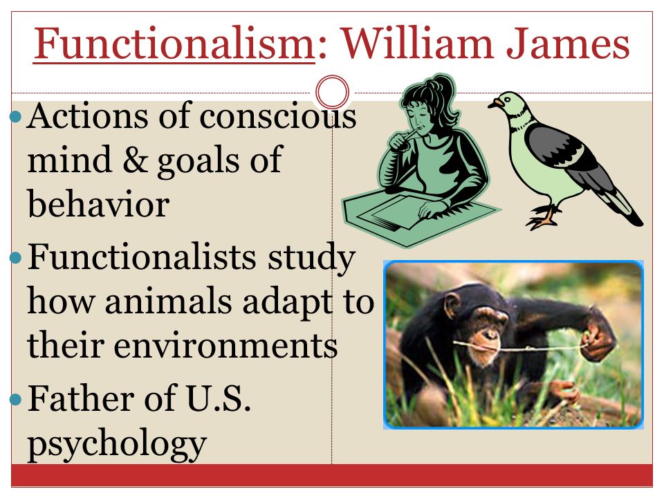 Functionalism: William James Actions of conscious mind & goals of behavior Functionalists study how animals adapt to their environments Father of U.S.