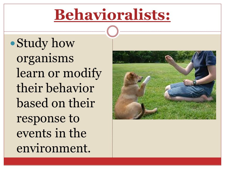 Behavioralists: Study how organisms learn or modify their behavior based on their response to events in the environment.