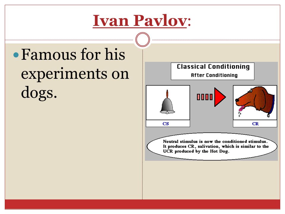 Ivan Pavlov: Famous for his experiments on dogs.