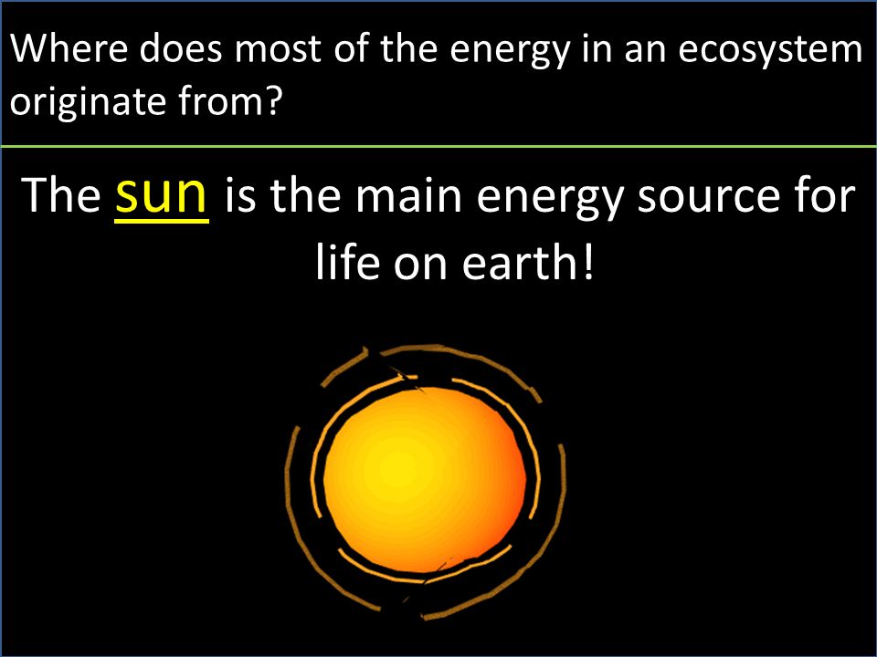 Where does most of the energy in an ecosystem originate from.