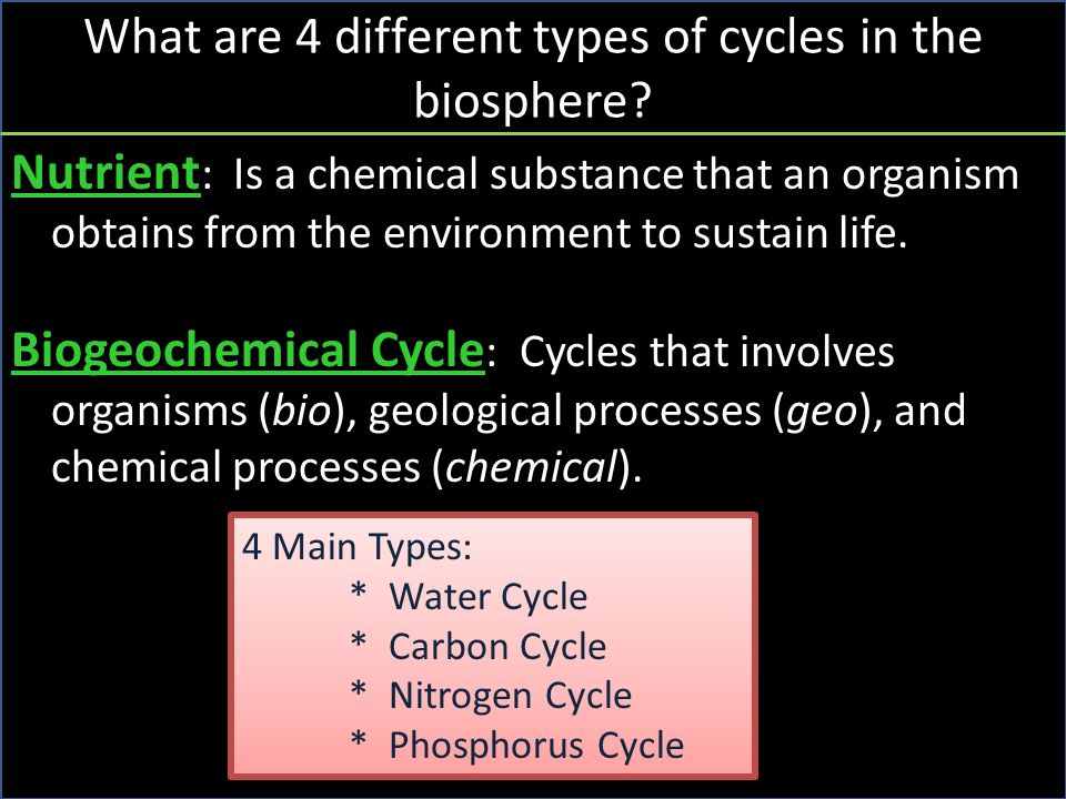 What are 4 different types of cycles in the biosphere.