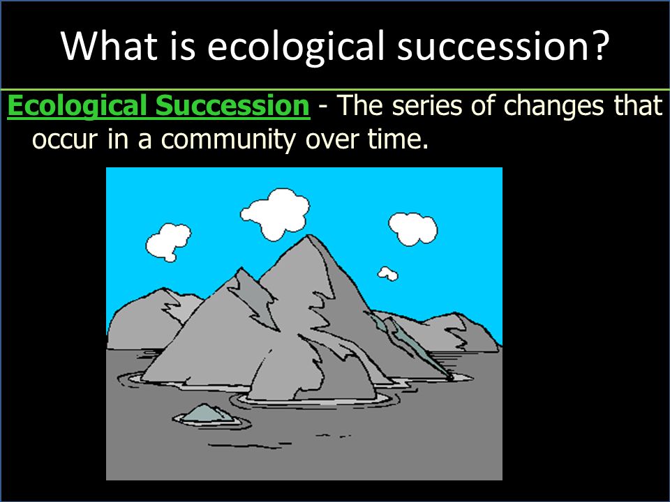 What is ecological succession.