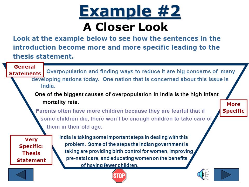 Example #2 General Information and Focus Specific focus of essay and thesis statement.