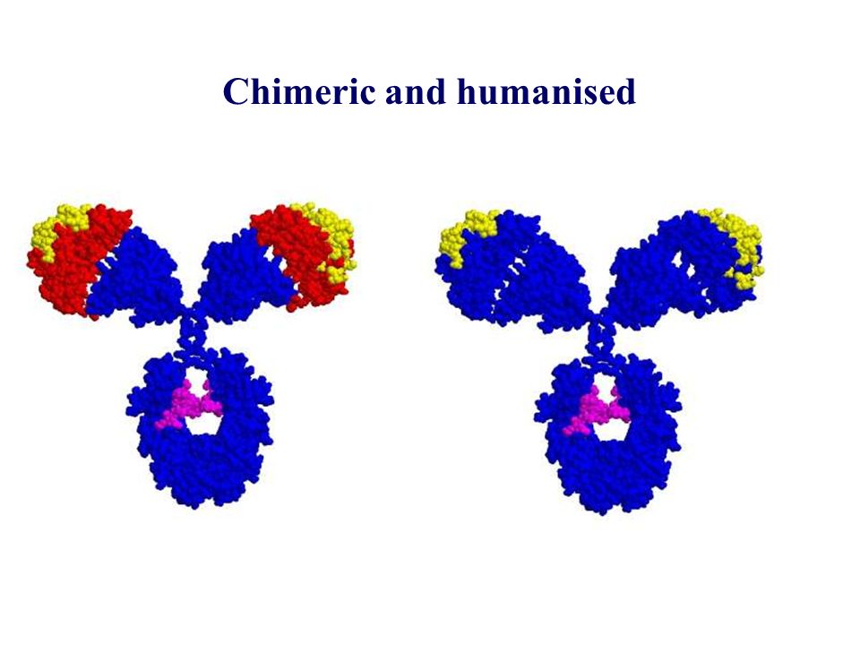 Chimeric and humanised
