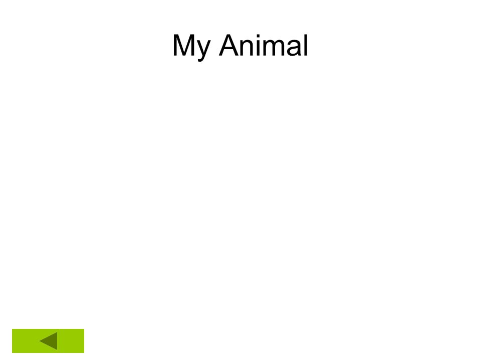 My Animal Insert a picture of your animal in the clip art box that you have saved to your folder.
