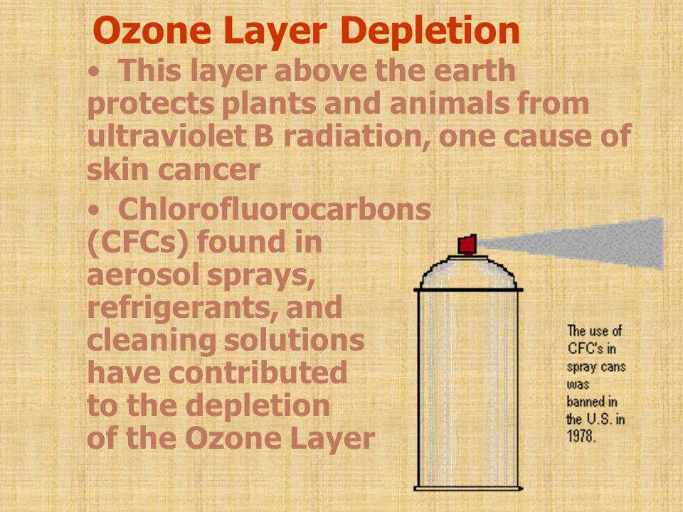 Ozone Layer Depletion This layer above the earth protects plants and animals from ultraviolet B radiation, one cause of skin cancer Chlorofluorocarbons (CFCs) found in aerosol sprays, refrigerants, and cleaning solutions have contributed to the depletion of the Ozone Layer