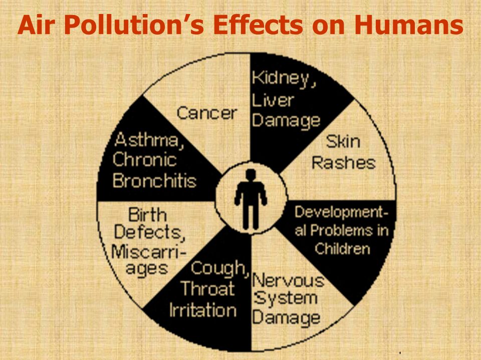 Air Pollution’s Effects on Humans
