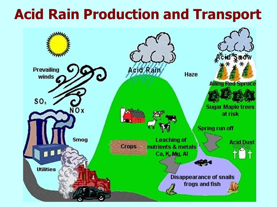 Acid Rain Production and Transport