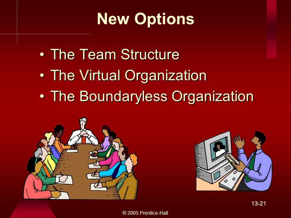 © 2005 Prentice-Hall New Options The Team StructureThe Team Structure The Virtual OrganizationThe Virtual Organization The Boundaryless OrganizationThe Boundaryless Organization