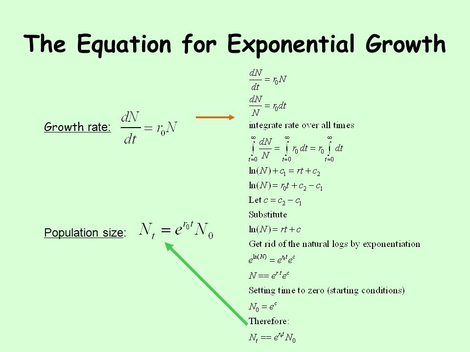 The Equation for Exponential Growth Growth rate: Population size: