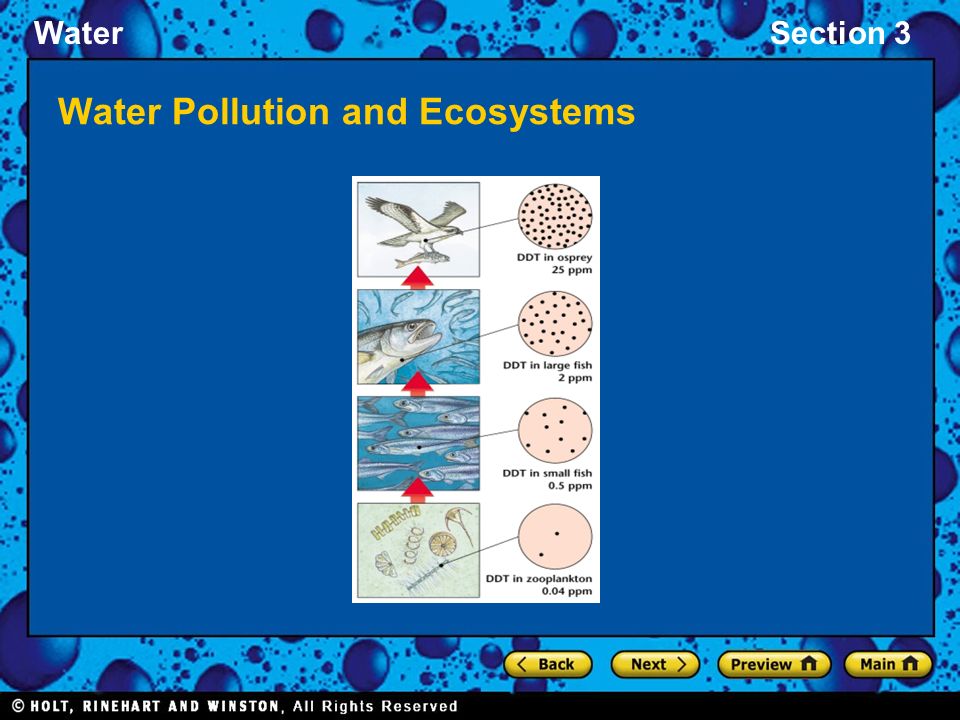 WaterSection 3 Water Pollution and Ecosystems