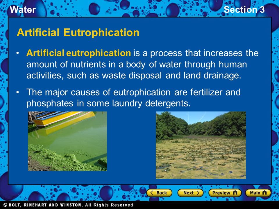 WaterSection 3 Artificial Eutrophication Artificial eutrophication is a process that increases the amount of nutrients in a body of water through human activities, such as waste disposal and land drainage.