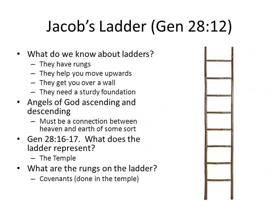 Lesson – Genesis 28–33 Ladders and In-Laws. - ppt download