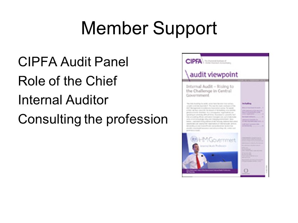Member Support CIPFA Audit Panel Role of the Chief Internal Auditor Consulting the profession