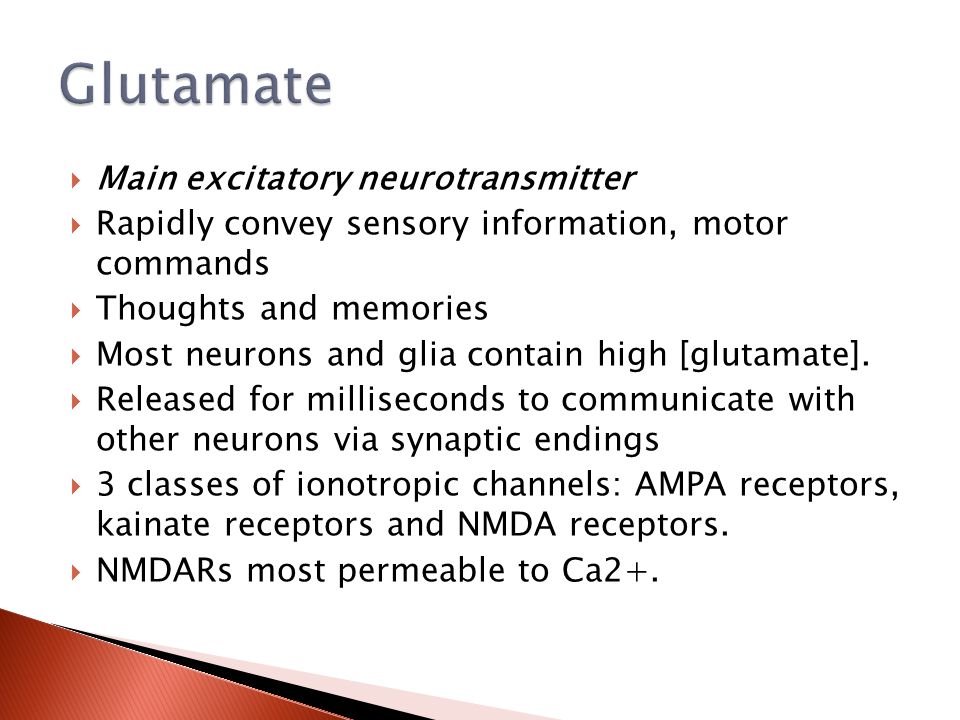  Main excitatory neurotransmitter  Rapidly convey sensory information, motor commands  Thoughts and memories  Most neurons and glia contain high [glutamate].
