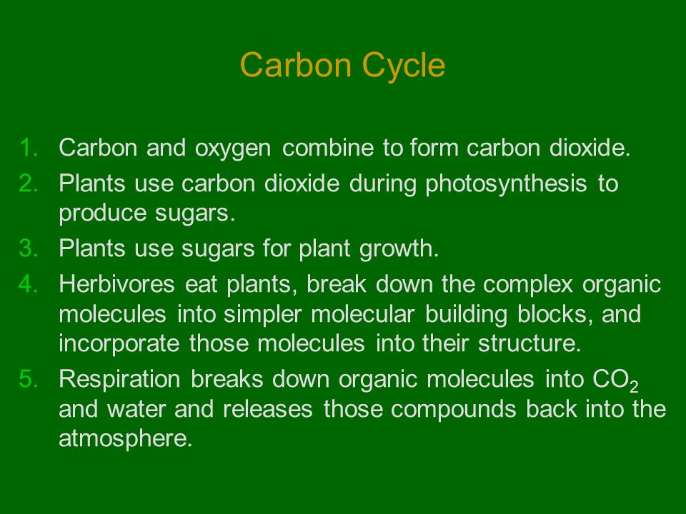 Carbon Cycle 1.Carbon and oxygen combine to form carbon dioxide.