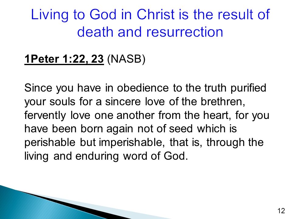 12 1Peter 1:22, 23 (NASB) Since you have in obedience to the truth purified your souls for a sincere love of the brethren, fervently love one another from the heart, for you have been born again not of seed which is perishable but imperishable, that is, through the living and enduring word of God.