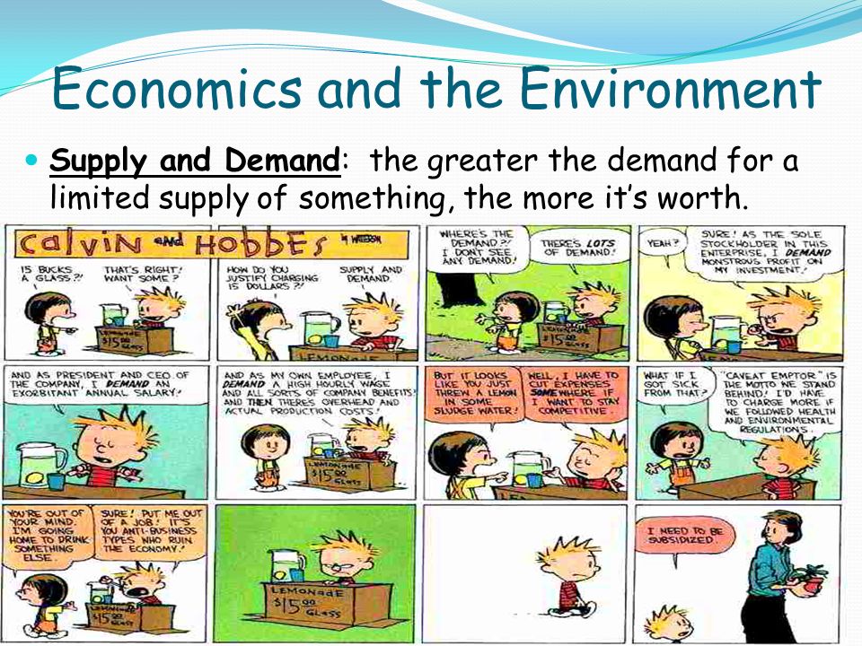 Economics and the Environment Supply and Demand: the greater the demand for a limited supply of something, the more it’s worth.