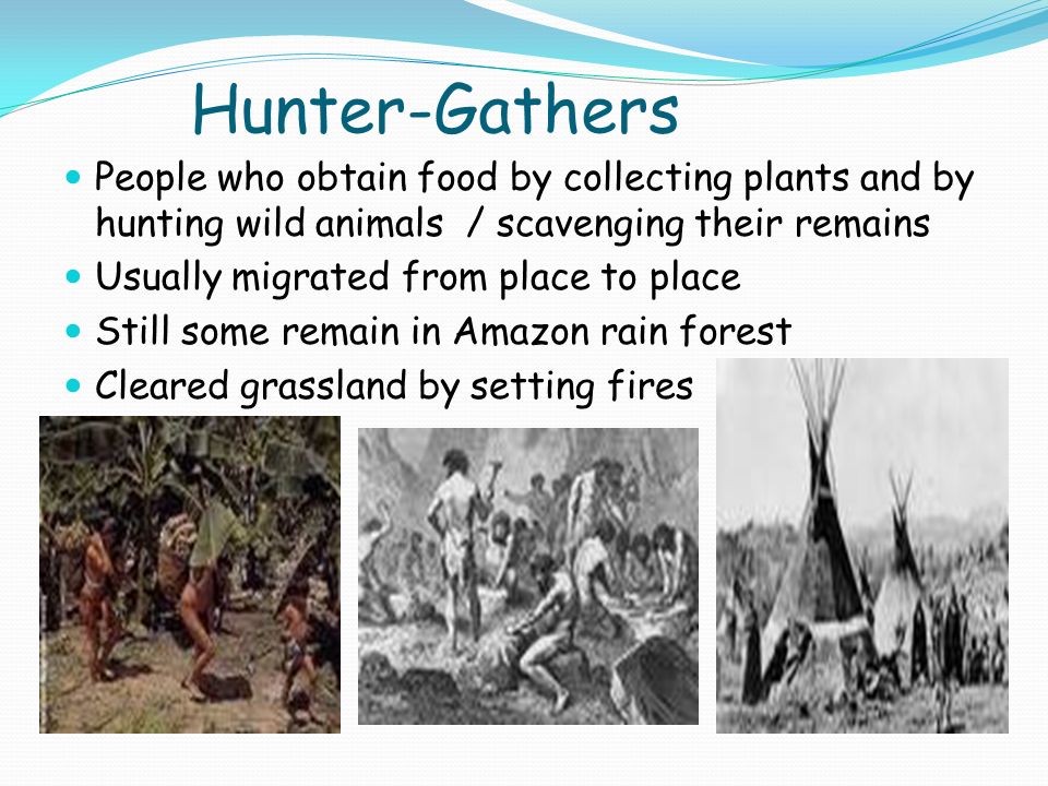 Hunter-Gathers People who obtain food by collecting plants and by hunting wild animals / scavenging their remains Usually migrated from place to place Still some remain in Amazon rain forest Cleared grassland by setting fires