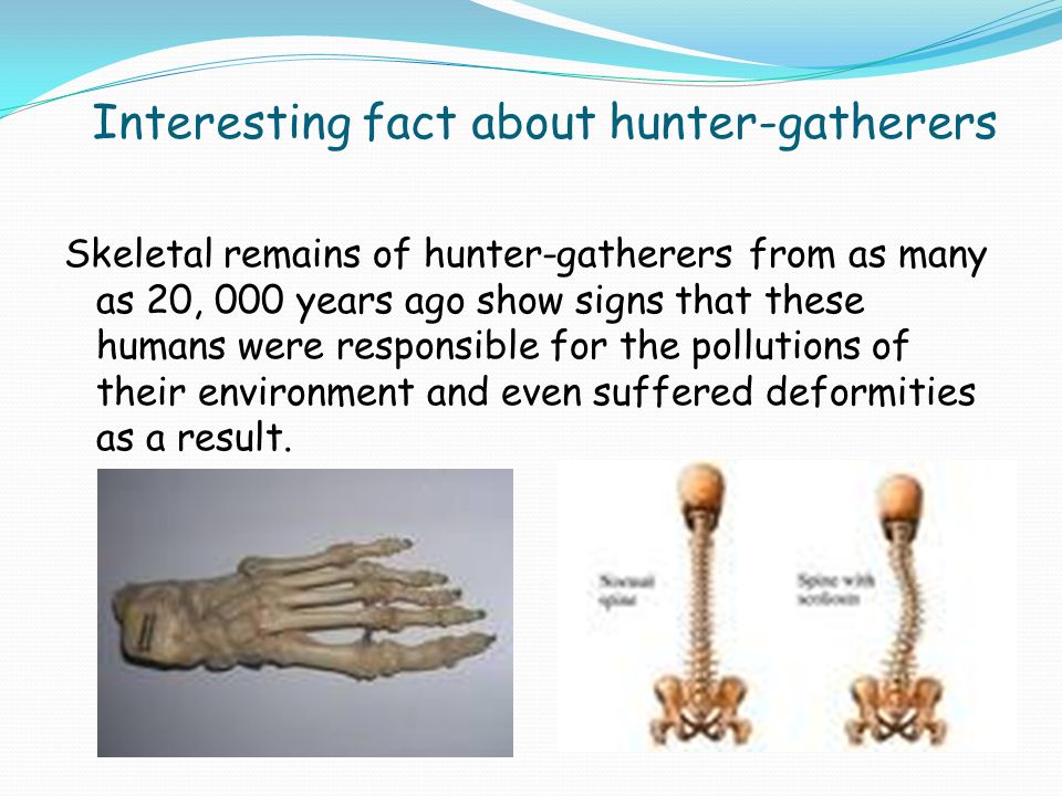 Interesting fact about hunter-gatherers Skeletal remains of hunter-gatherers from as many as 20, 000 years ago show signs that these humans were responsible for the pollutions of their environment and even suffered deformities as a result.