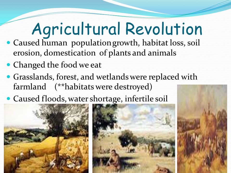 Agricultural Revolution Caused human population growth, habitat loss, soil erosion, domestication of plants and animals Changed the food we eat Grasslands, forest, and wetlands were replaced with farmland (**habitats were destroyed) Caused floods, water shortage, infertile soil