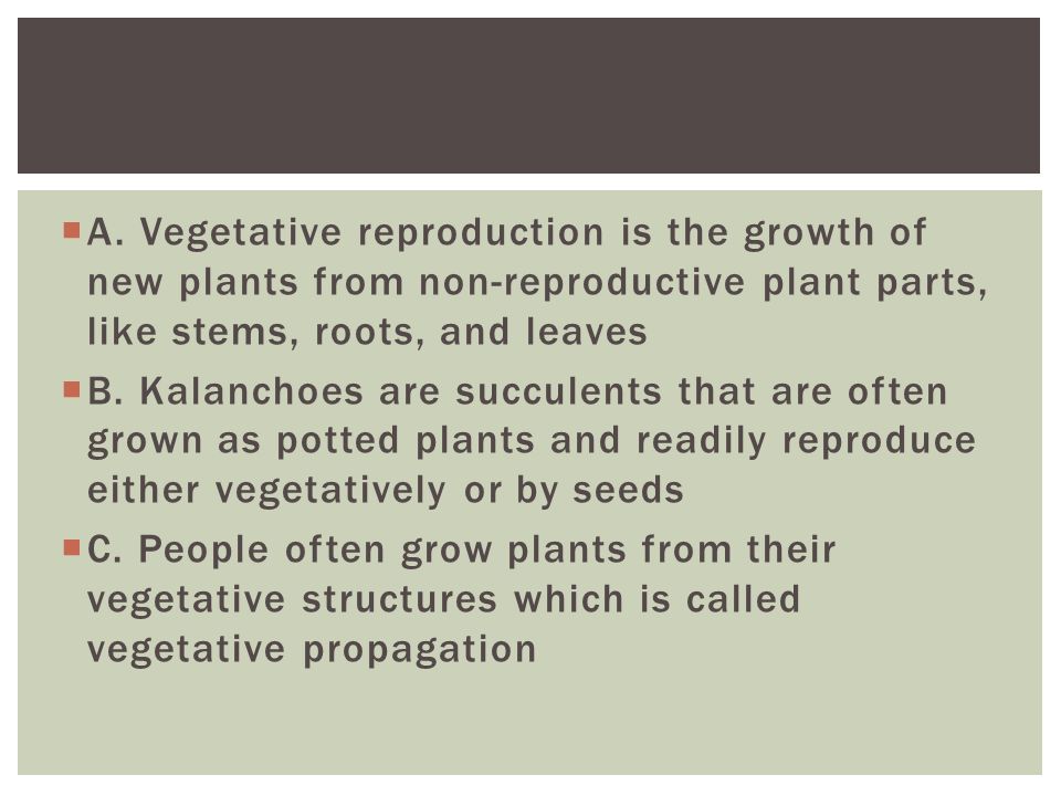 Sexual Reproduction In Seed Plants I Reproductive Structures Of Seed Plants Ppt Download Sexual Reproduction In Seed Plants I Reproductive Structures Of Seed Plants Ppt Download