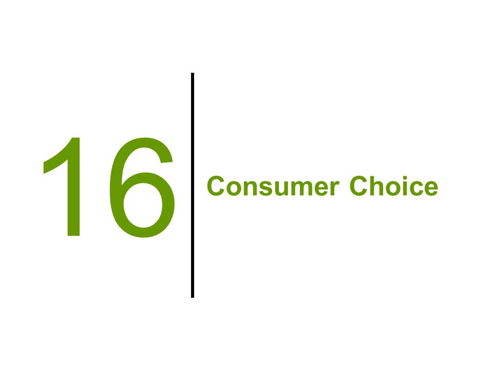 Consumer Choice 16
