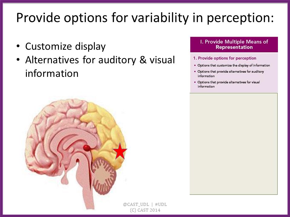 @CAST_UDL | #UDL (C) CAST 2014 Provide options for variability in perception: Customize display Alternatives for auditory & visual information