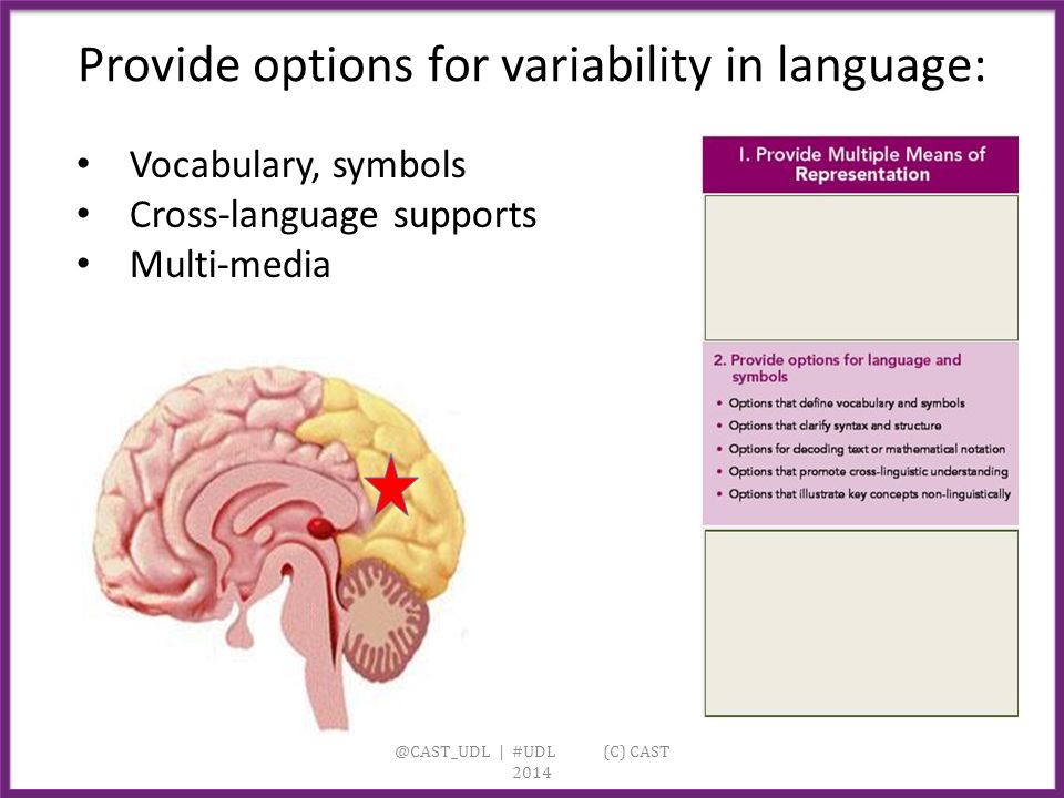 @CAST_UDL | #UDL (C) CAST 2014 Provide options for variability in language: Vocabulary, symbols Cross-language supports Multi-media