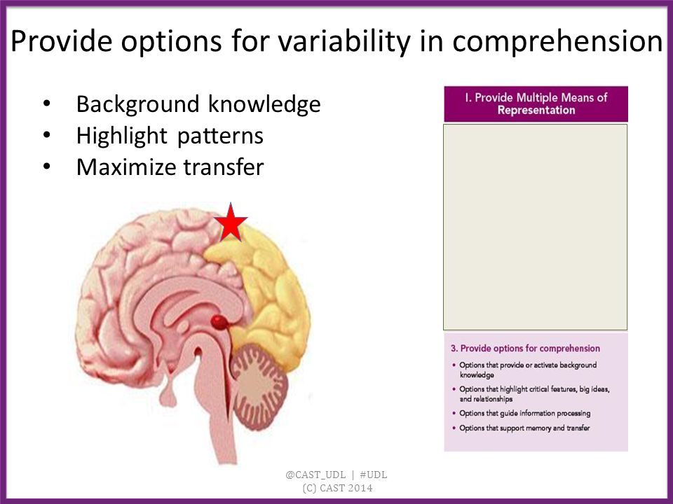 Background knowledge Highlight patterns Maximize transfer Provide options for variability in | #UDL (C) CAST 2014