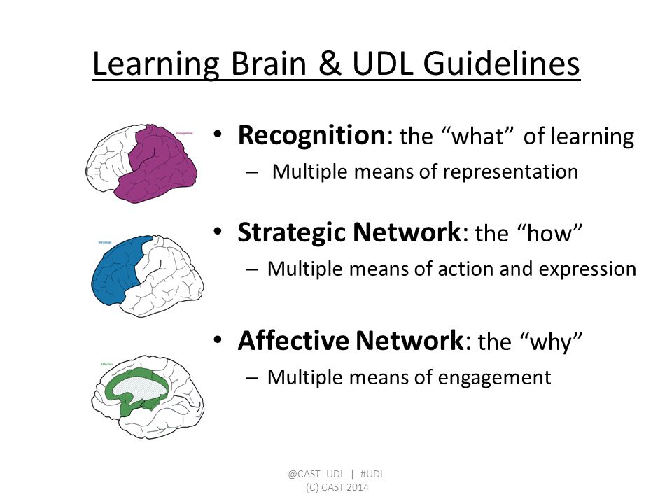 Learning Brain & UDL Guidelines Recognition: the what of learning – Multiple means of representation Strategic Network: the how – Multiple means of action and expression Affective Network: the why – Multiple means of | #UDL (C) CAST 2014