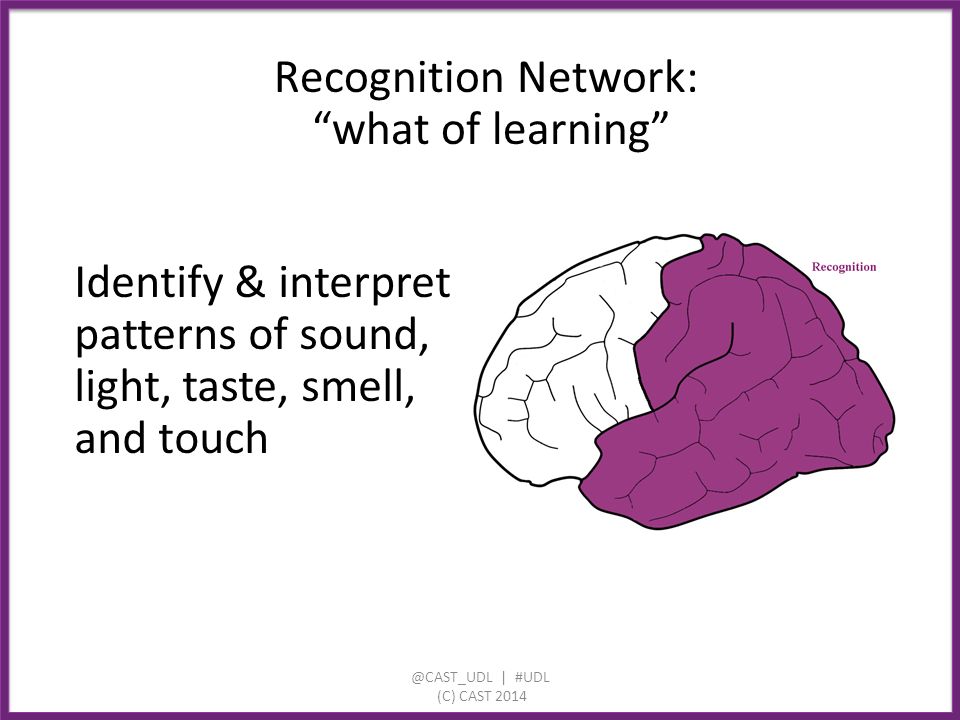 Identify & interpret patterns of sound, light, taste, smell, and touch Recognition Network: what of | #UDL (C) CAST 2014
