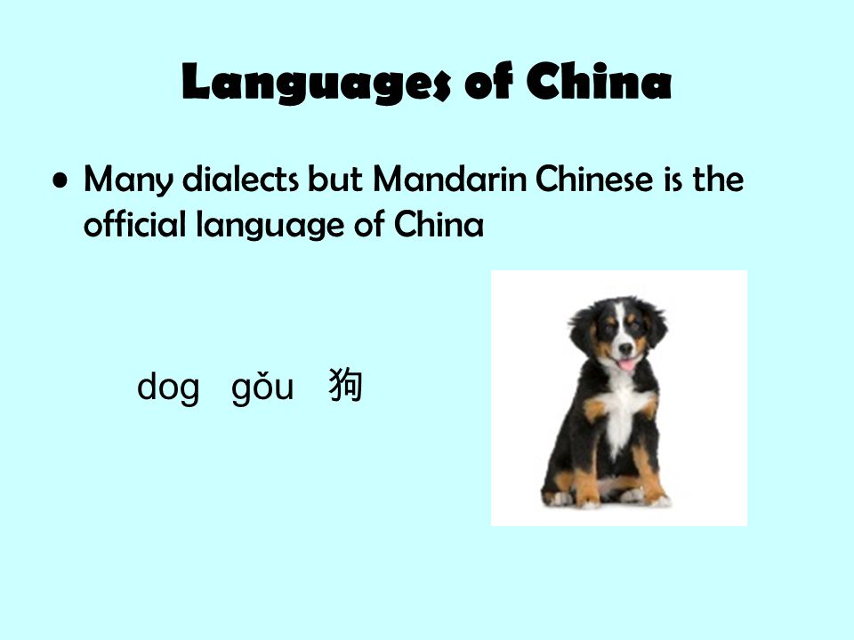 Languages of China Many dialects but Mandarin Chinese is the official language of China dog gǒu 狗