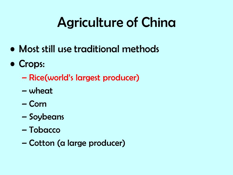 Agriculture of China Most still use traditional methods Crops: –Rice(world’s largest producer) –wheat –Corn –Soybeans –Tobacco –Cotton (a large producer)